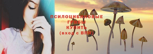 гидропоника Белокуриха