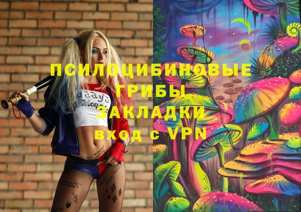 дмт Богородск