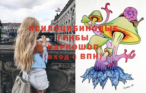 прущая мука Бородино