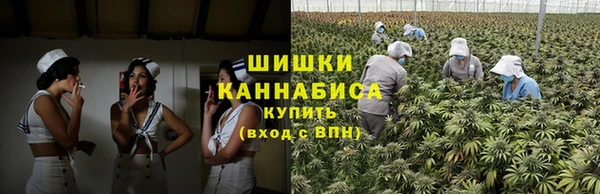 первитин Богданович